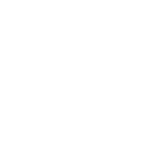 wp-logo